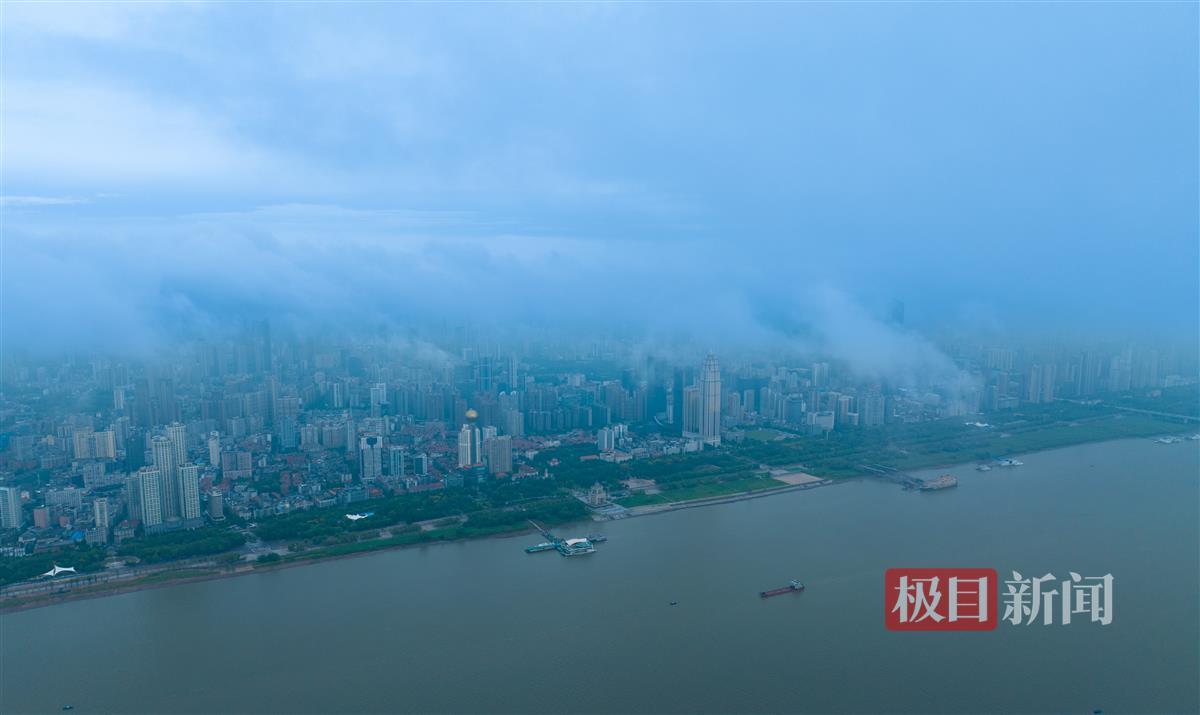 通宝网址是多少